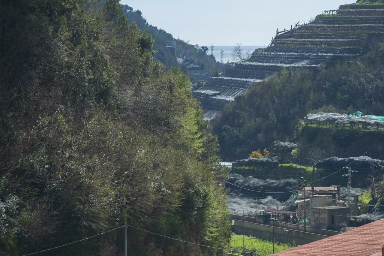 Casa Rosanna Βίλα Maiori Εξωτερικό φωτογραφία